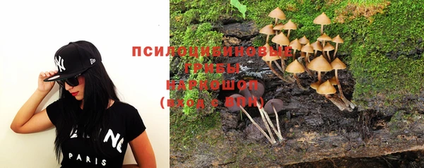 синтетический гашиш Пролетарск