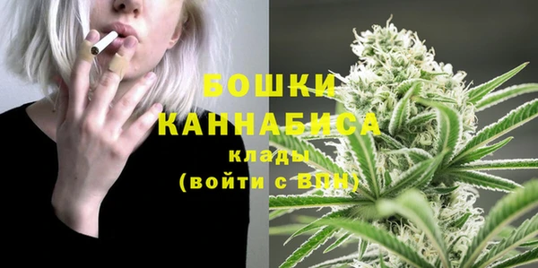 ПСИЛОЦИБИНОВЫЕ ГРИБЫ Кулебаки