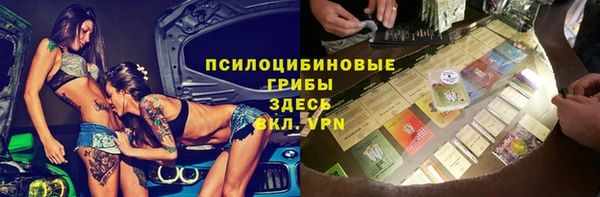 стаф Кукмор