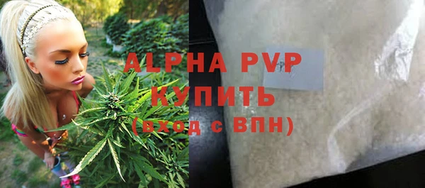 ПСИЛОЦИБИНОВЫЕ ГРИБЫ Кулебаки