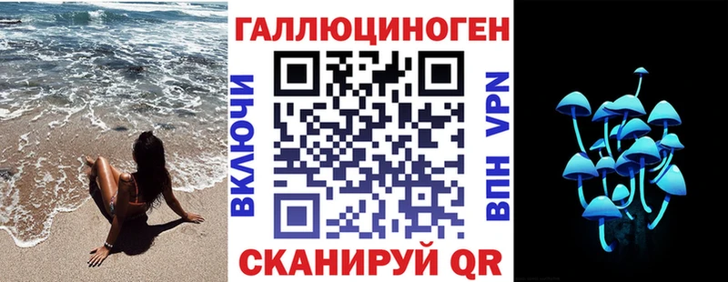 где можно купить   Полевской  Галлюциногенные грибы Psilocybe 